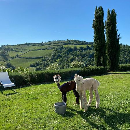 Villa Rignana Chianti Estate, Pool, Tennis,Cook Greve in Chianti Extérieur photo