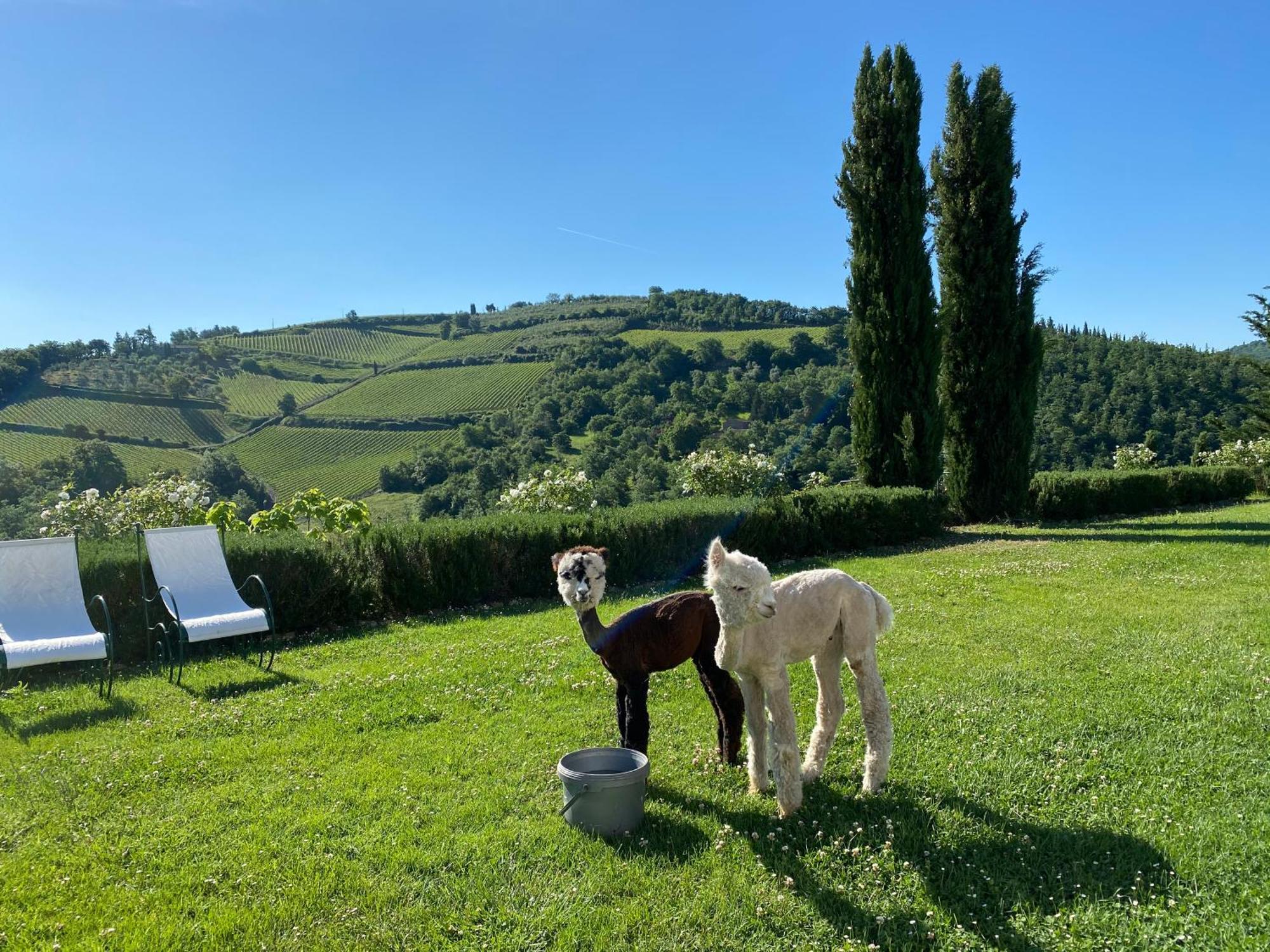 Villa Rignana Chianti Estate, Pool, Tennis,Cook Greve in Chianti Extérieur photo